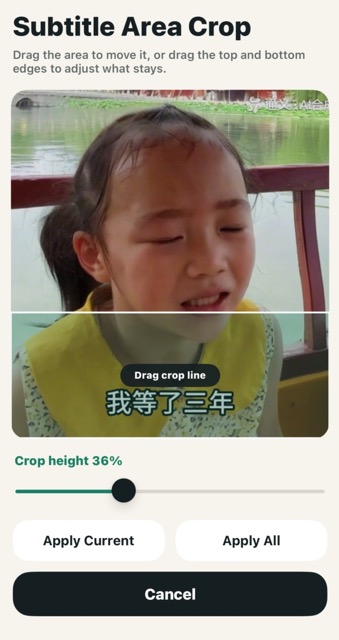 Your Tools - Adjust subtitle crop area